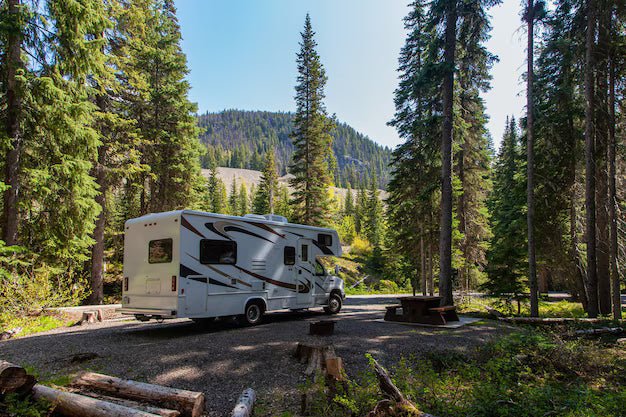 Automotive/RV